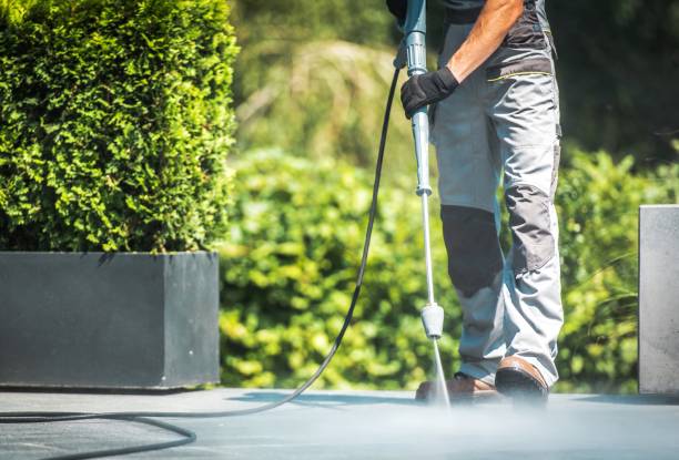 Best Building Exterior Pressure Washing in East Aurora, NY