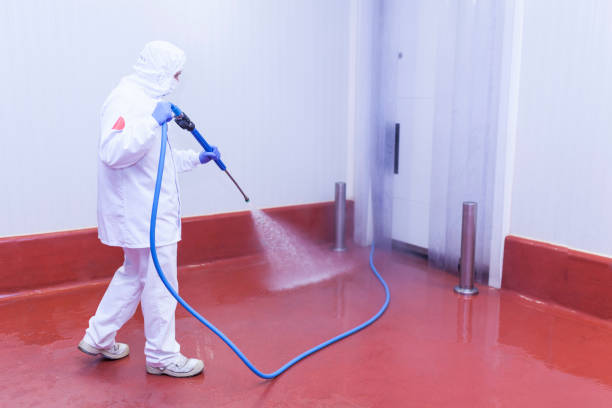 Best Deck and Patio Pressure Washing in East Aurora, NY
